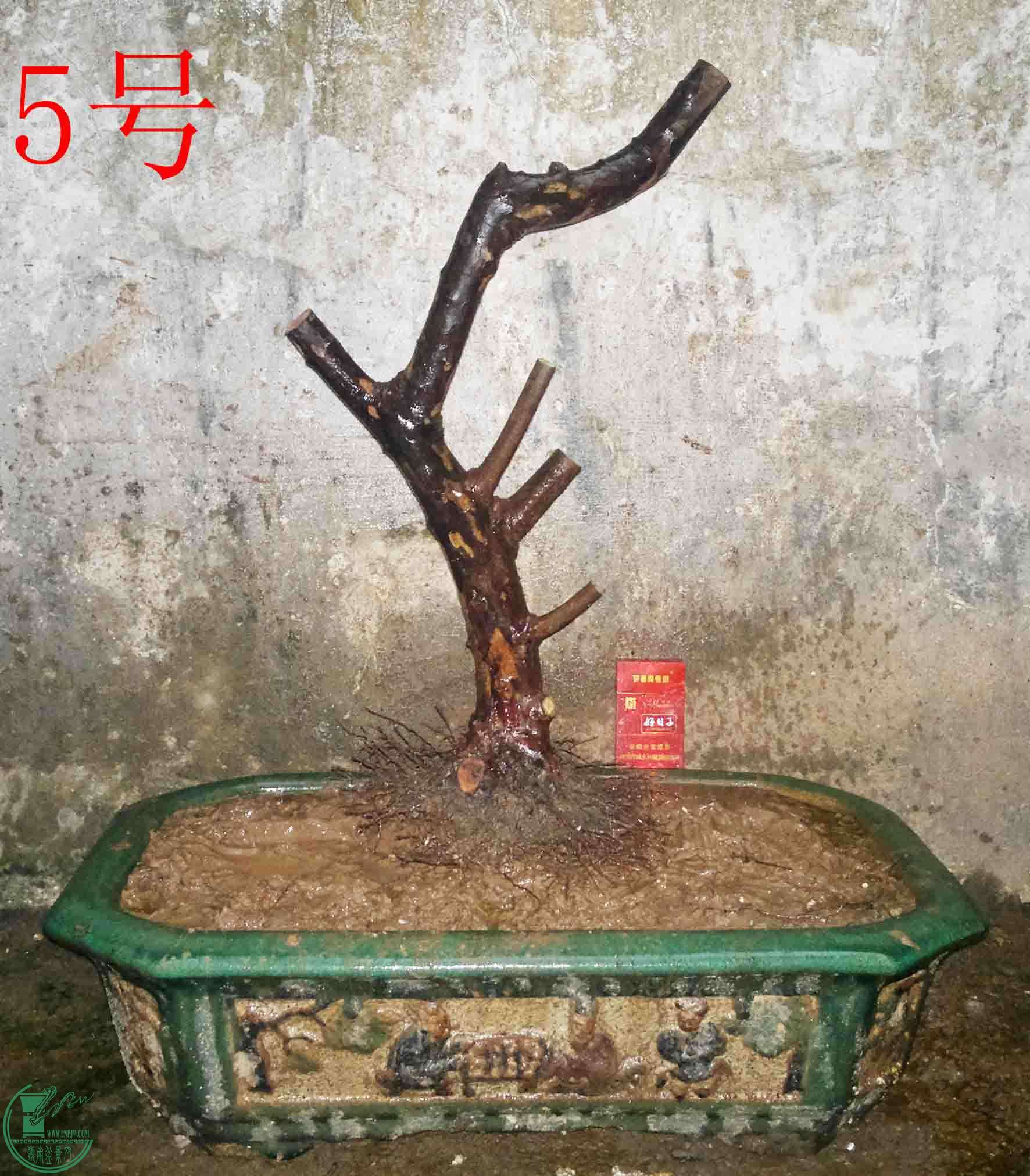 2016031212525.jpg