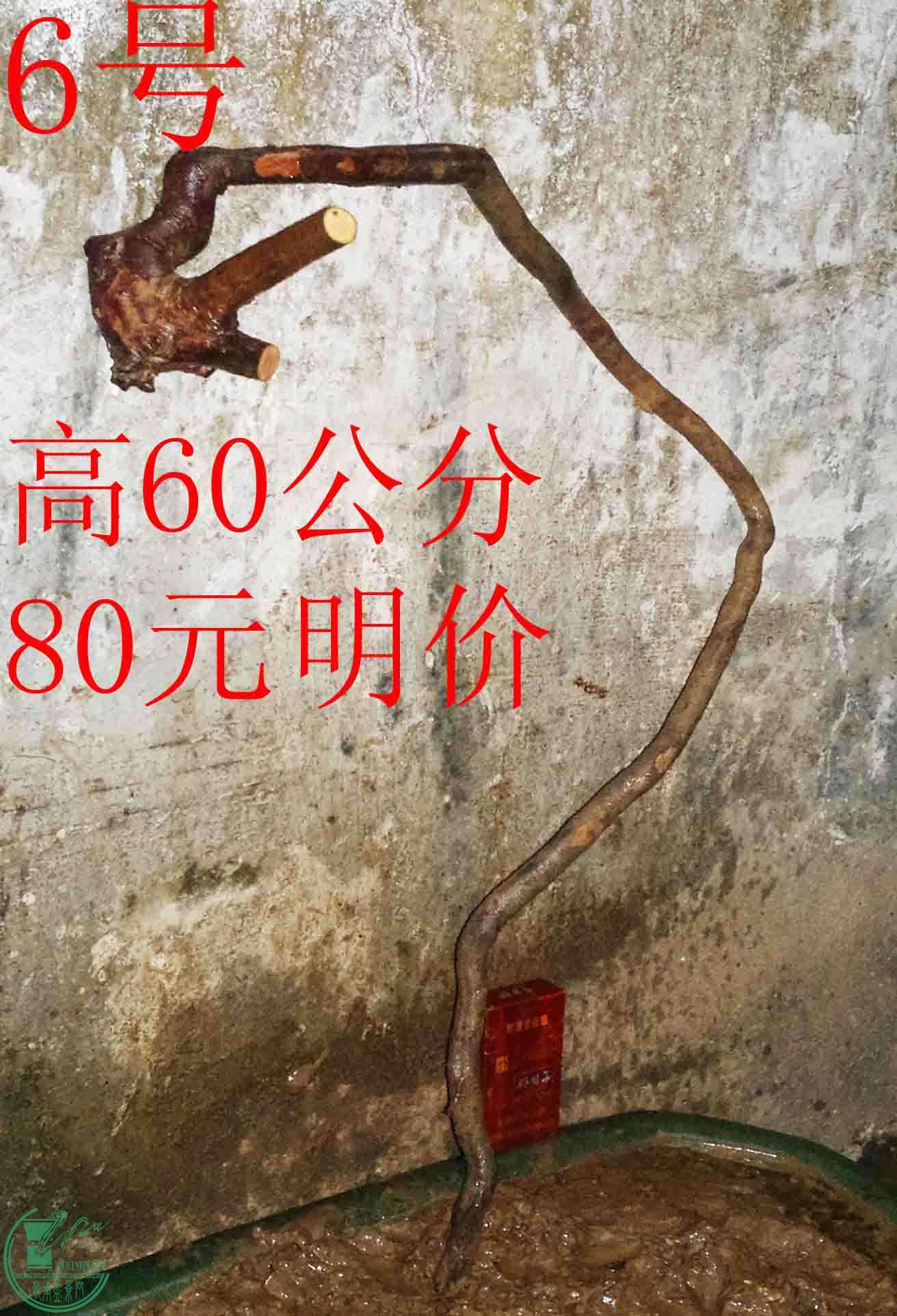2016031212528.jpg