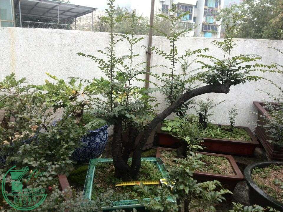 QQͼƬ20160312190749.jpg