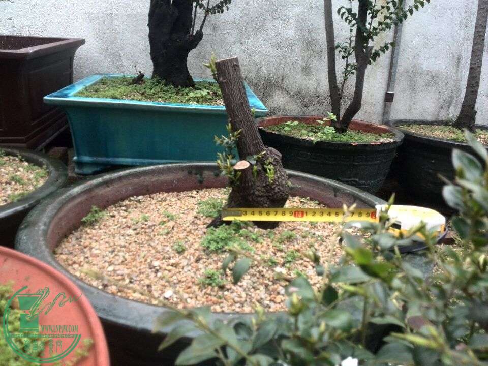 QQͼƬ20160312190759.jpg