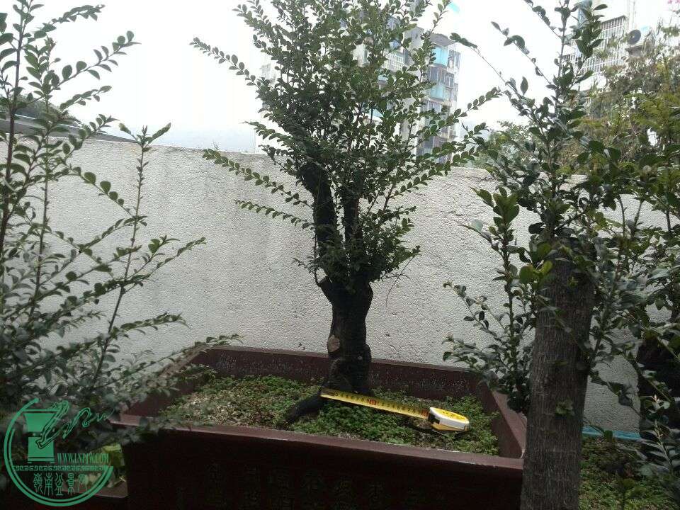 QQͼƬ20160312190802.jpg