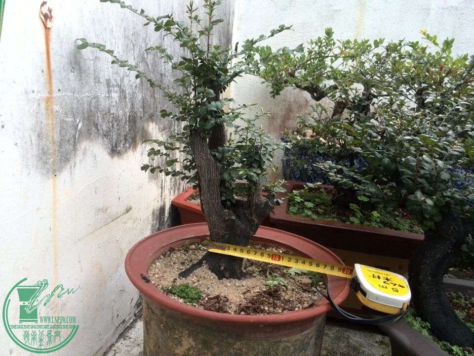 QQͼƬ20160312190839.jpg