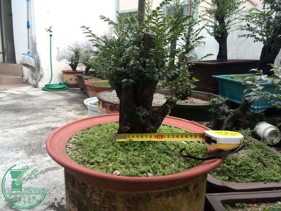 QQͼƬ20160312190850.jpg