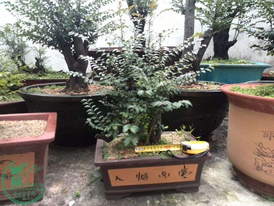 QQͼƬ20160312190900.jpg