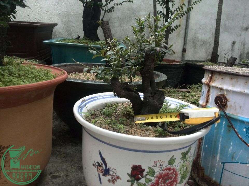 QQͼƬ20160312190908.jpg