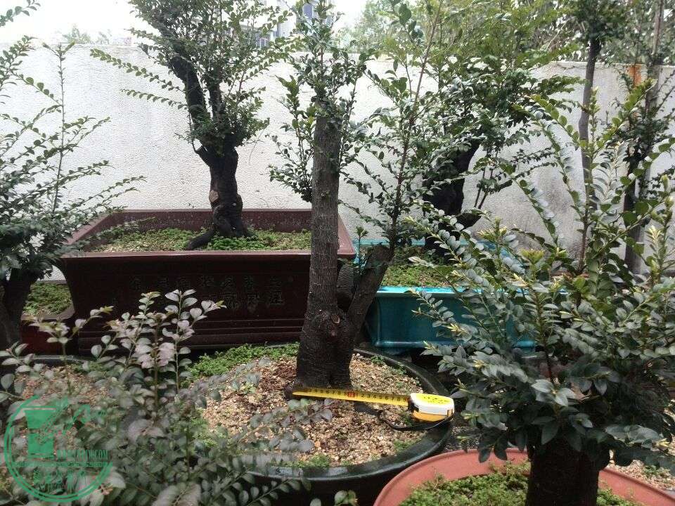 QQͼƬ20160312190915.jpg