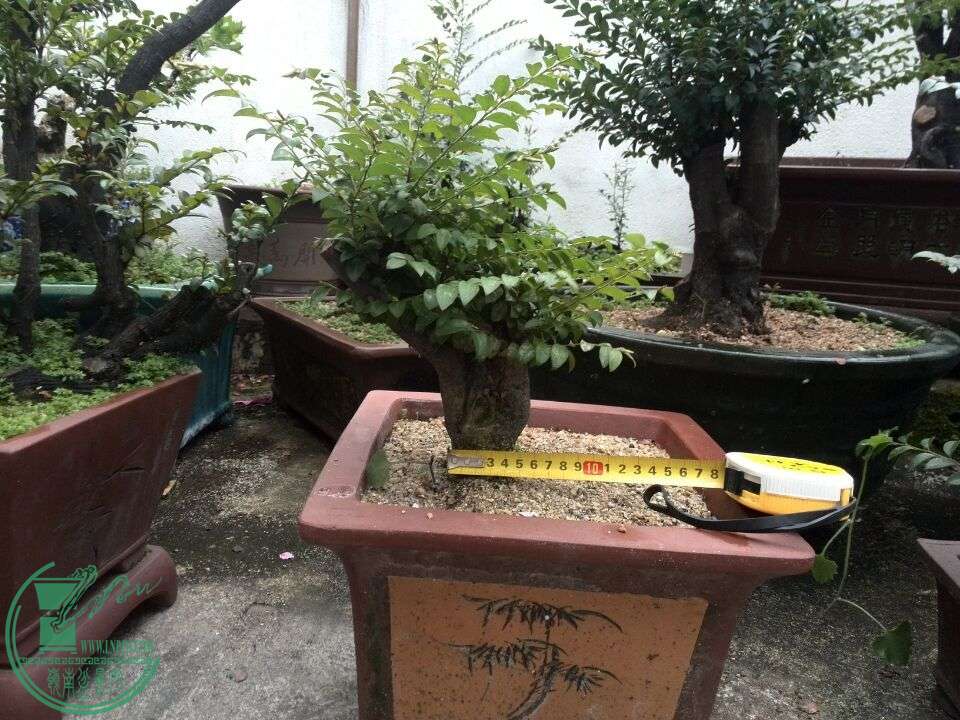 QQͼƬ20160312190920.jpg