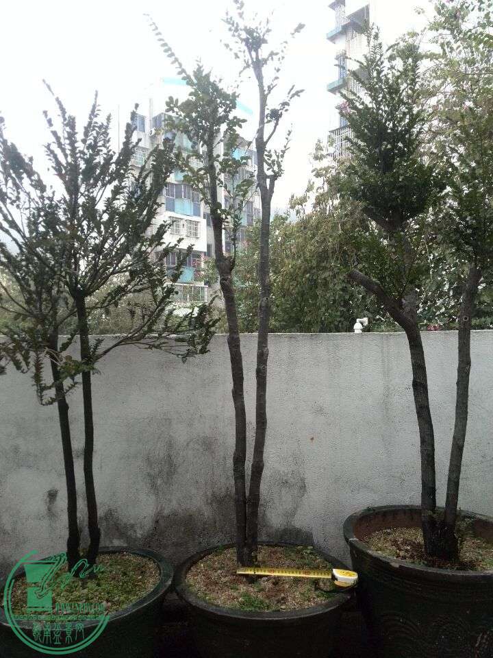 QQͼƬ20160312190936.jpg