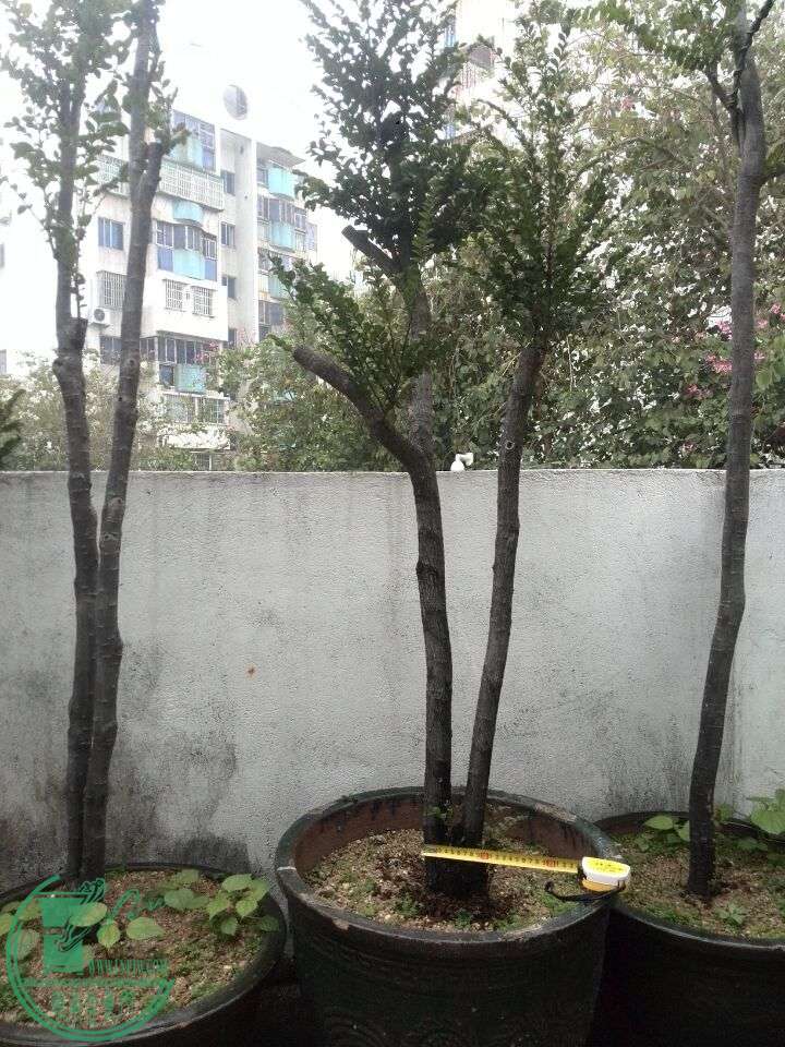 QQͼƬ20160312190939.jpg