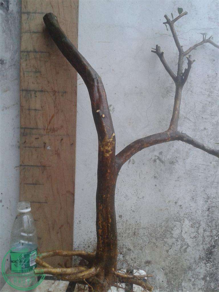 20160311_180641.jpg