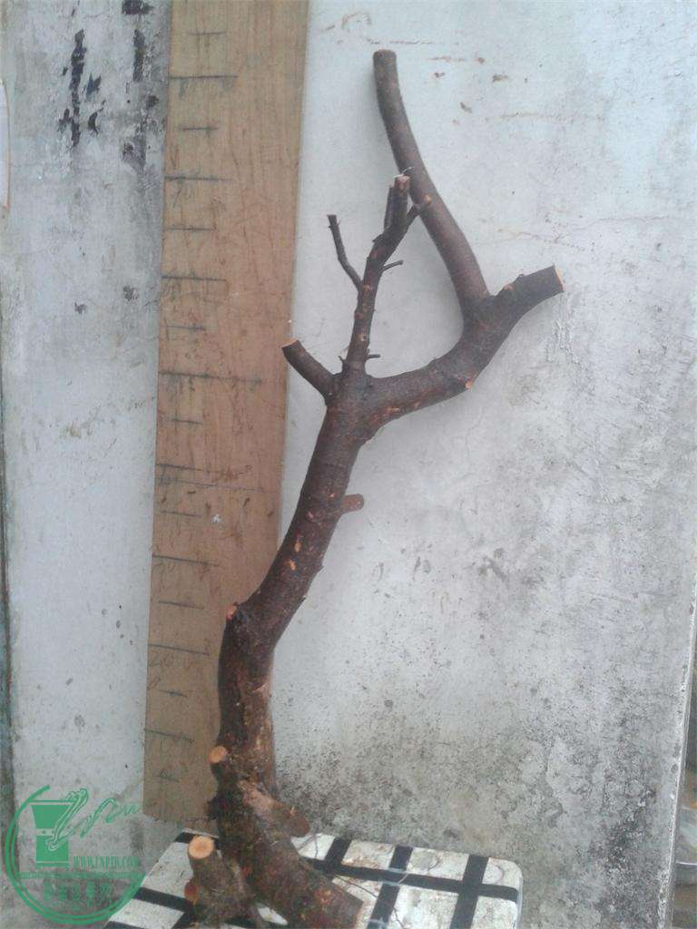 20160312_171312.jpg