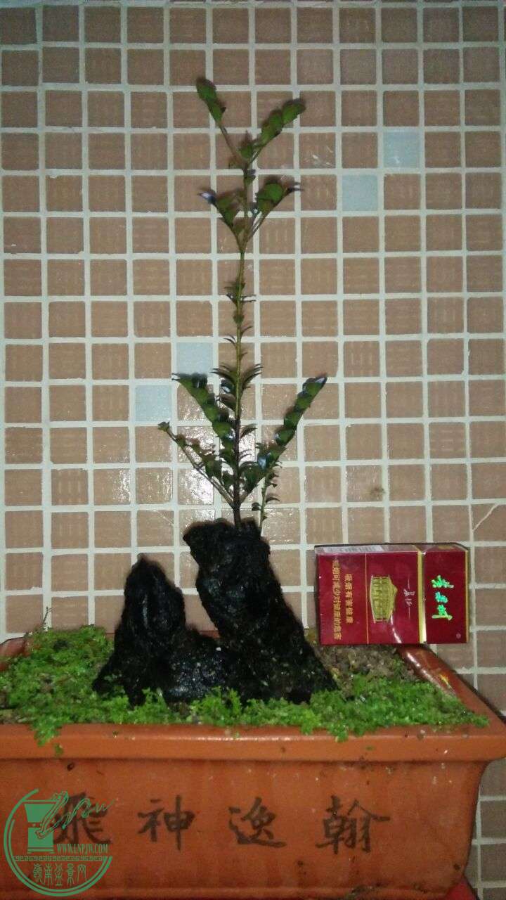 QQͼƬ20160313193656.jpg