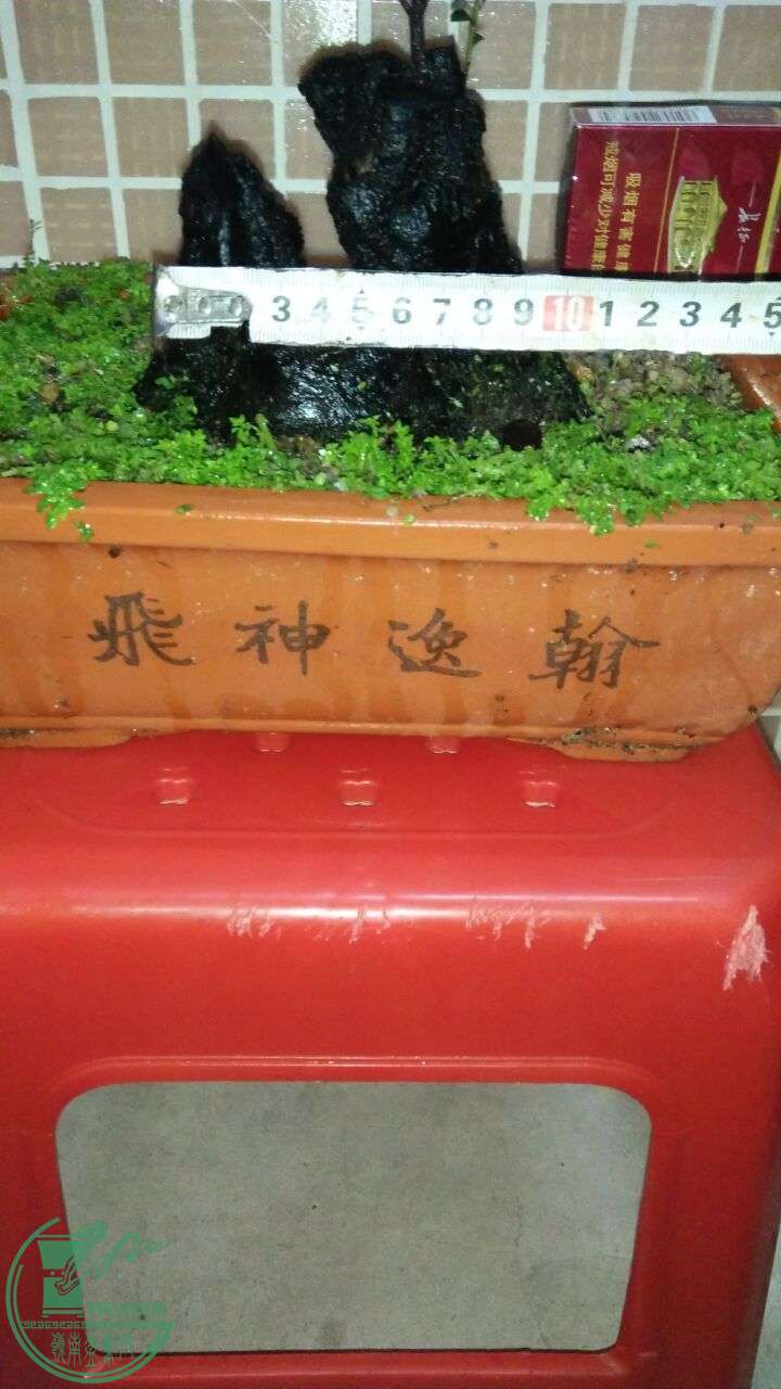 QQͼƬ20160313193712.jpg