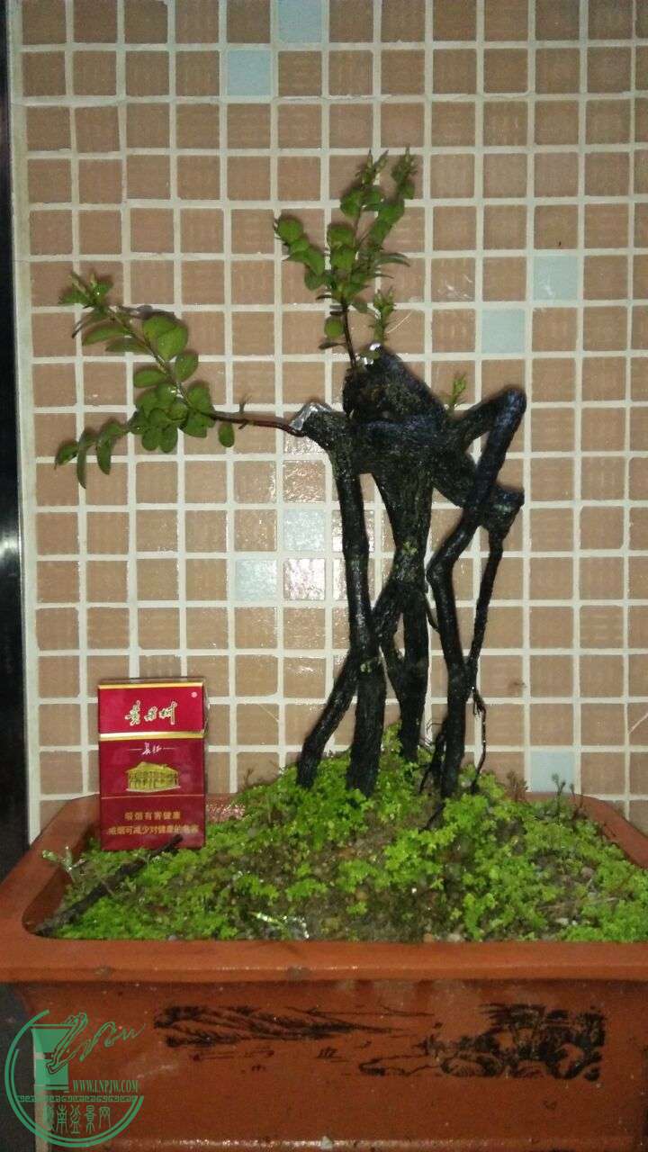 QQͼƬ20160313194335.jpg