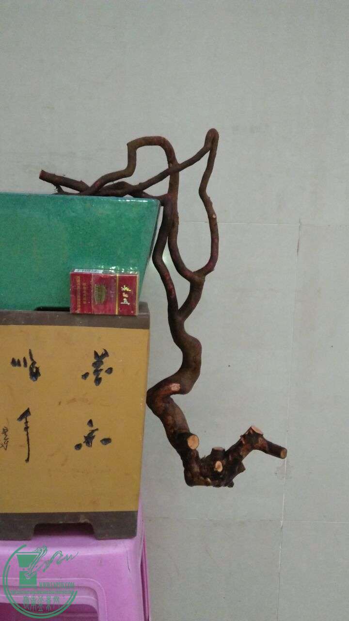 QQͼƬ20160314190650.jpg