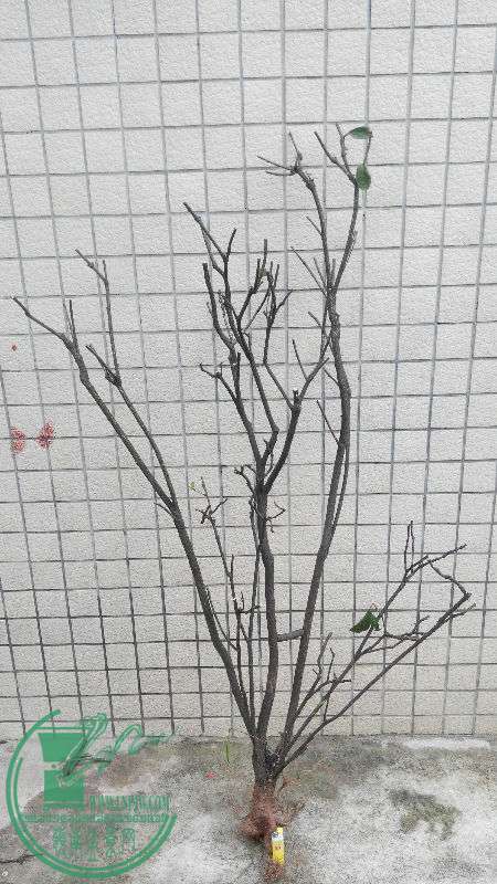 762934