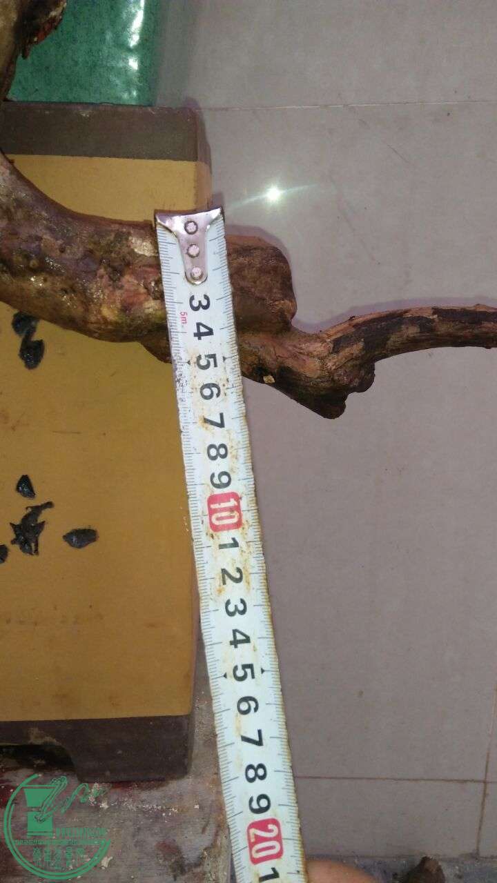 QQͼƬ20160314192627.jpg