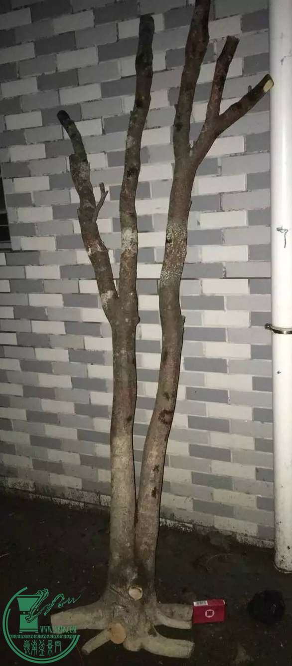 image.jpeg