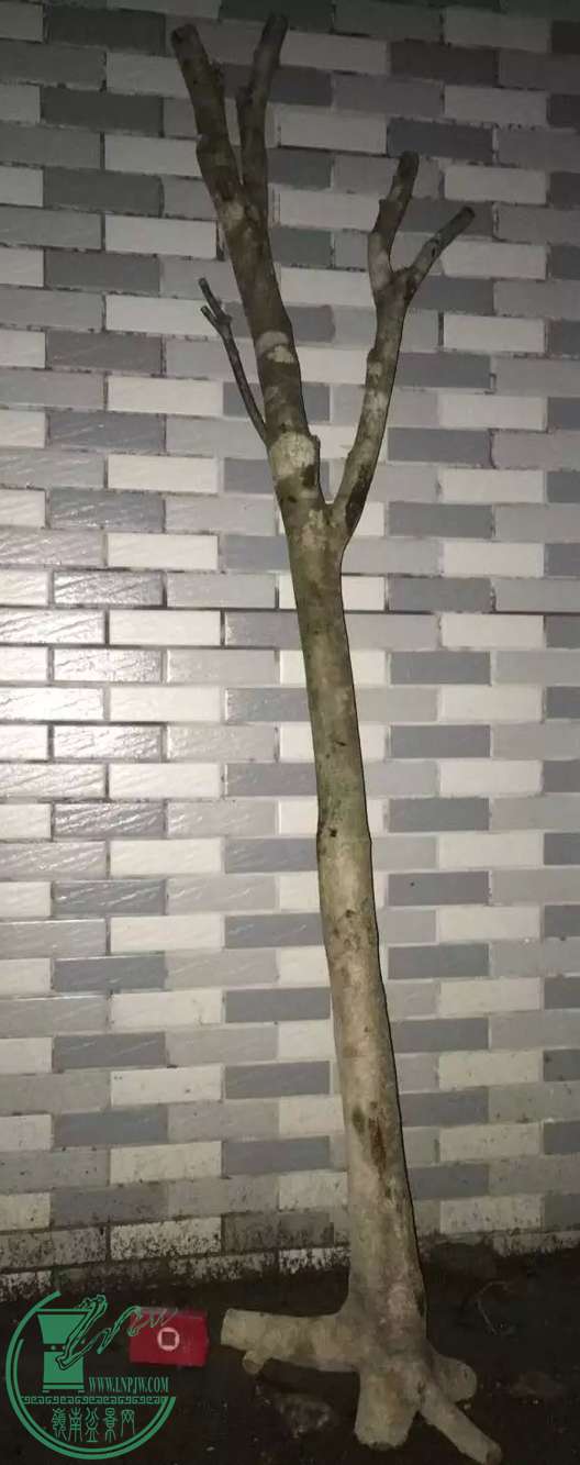 image.jpeg
