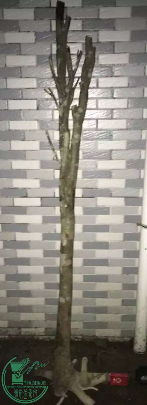 image.jpeg