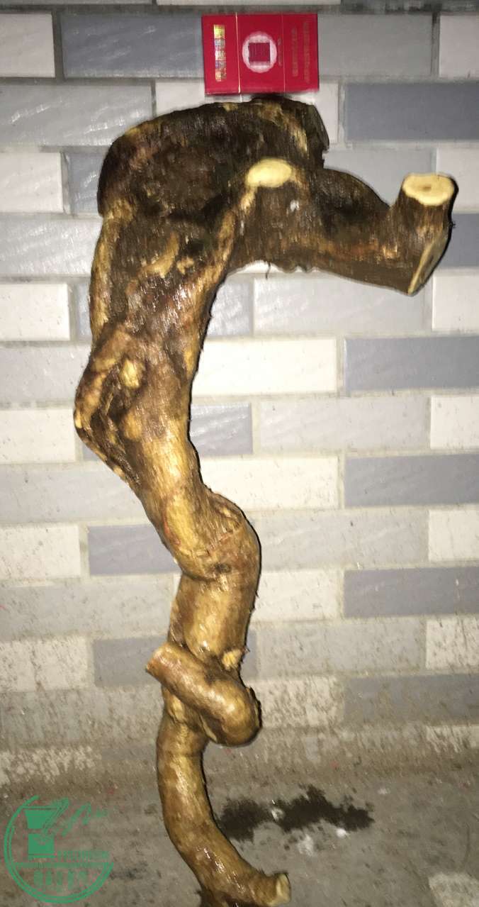image.jpeg