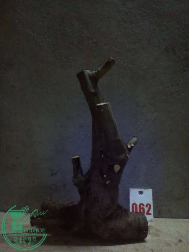 psb (57).jpg