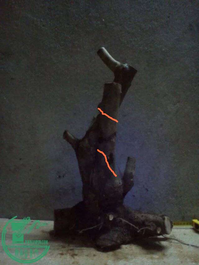 101900b2uasevfesath0ot_jpg_thumb_.jpg