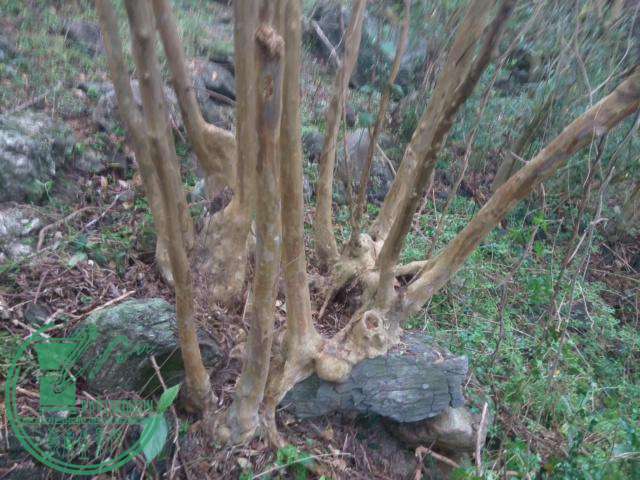 rps20160315_143819.jpg
