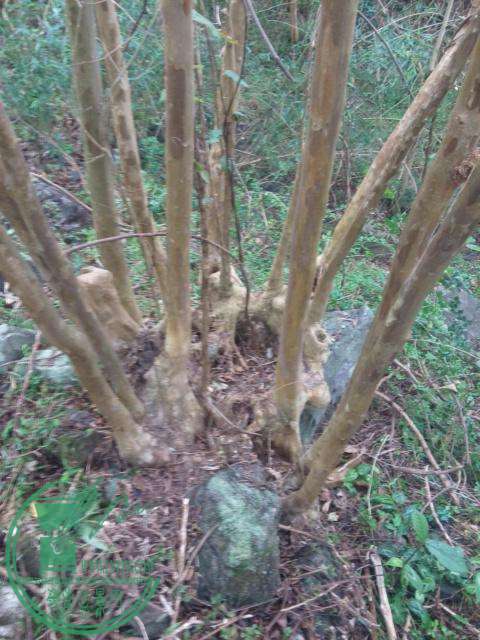 rps20160315_144130.jpg
