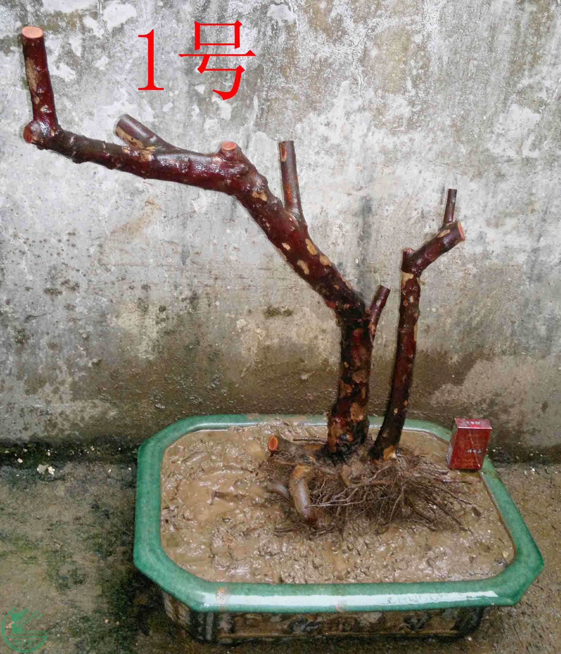 2016031512569.jpg