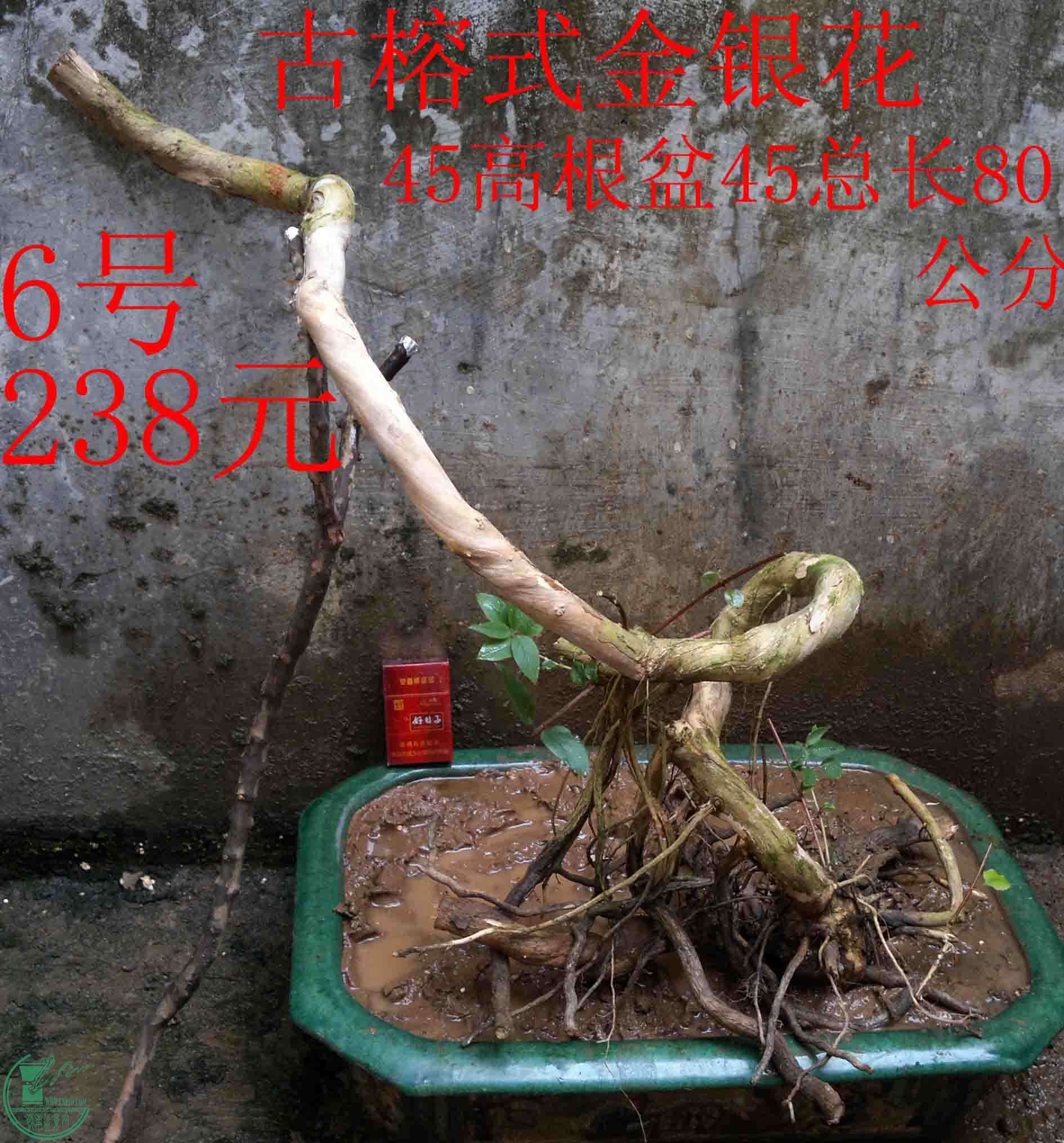 2016031512828.jpg