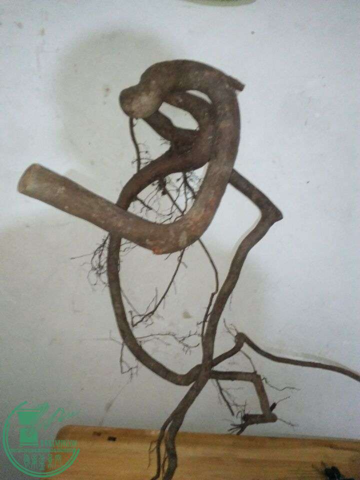 E7E4D7DBE2584F6703F68EDE5FA0F0A6.jpg