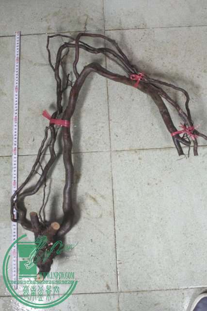psb (30).jpg