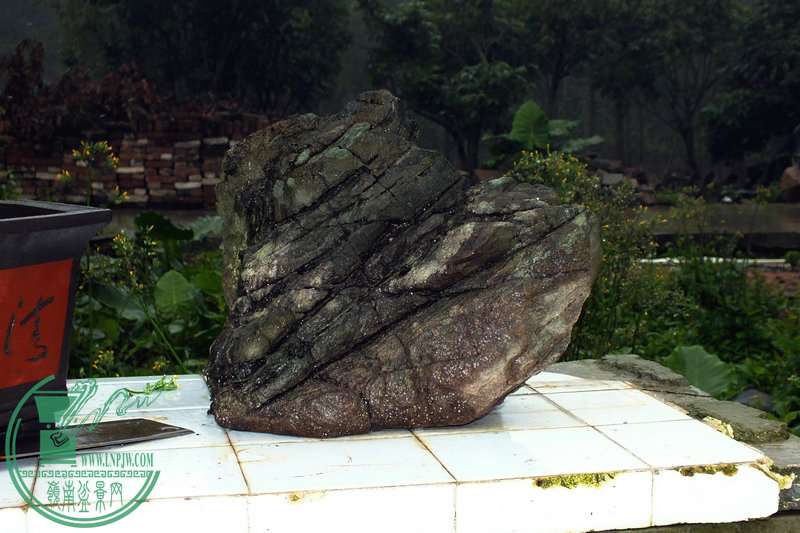 DSCF2713.JPG