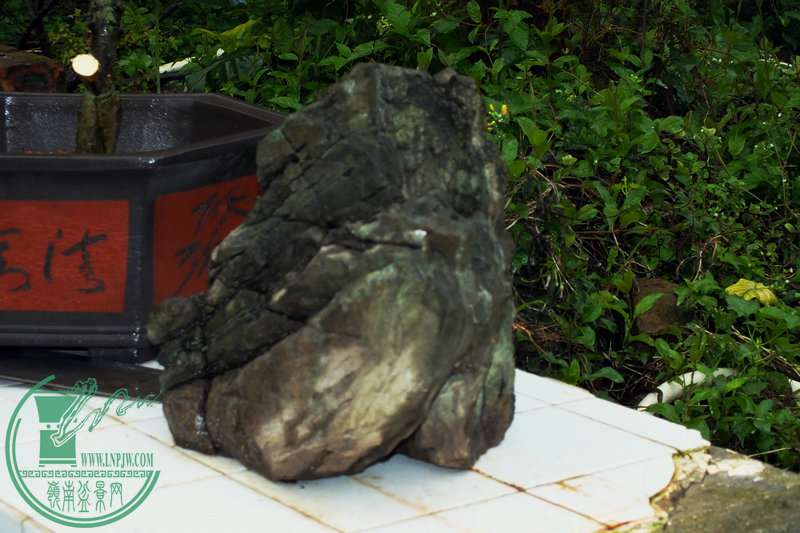 DSCF2714.JPG