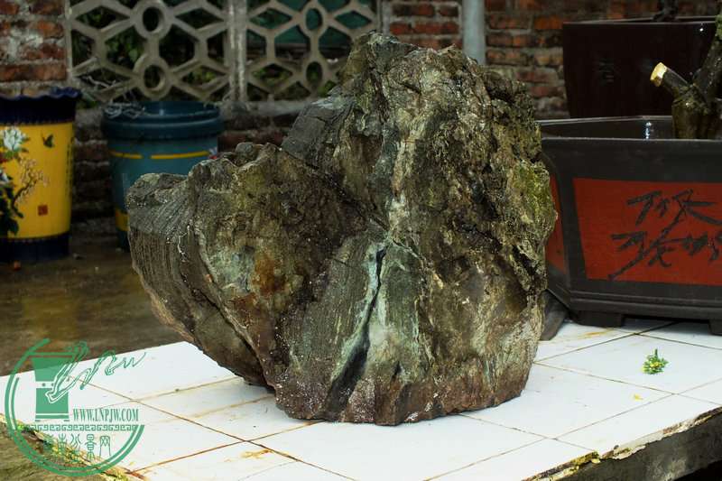 DSCF2715.JPG
