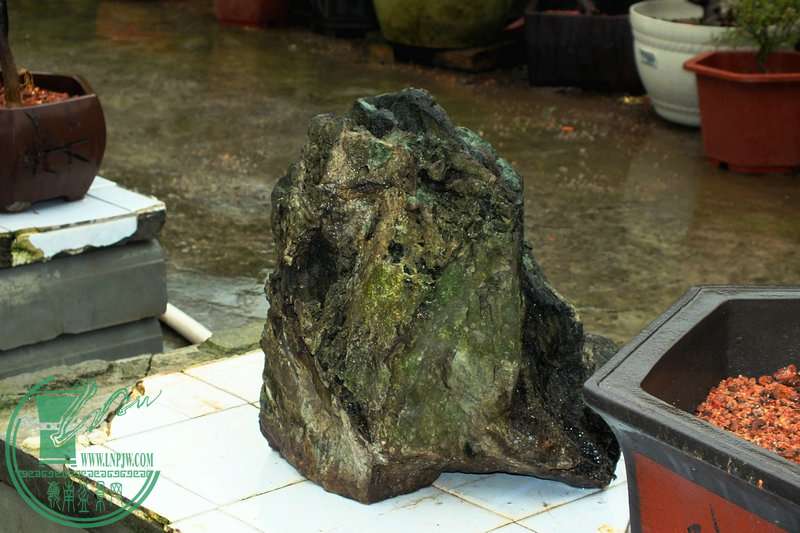 DSCF2716.JPG