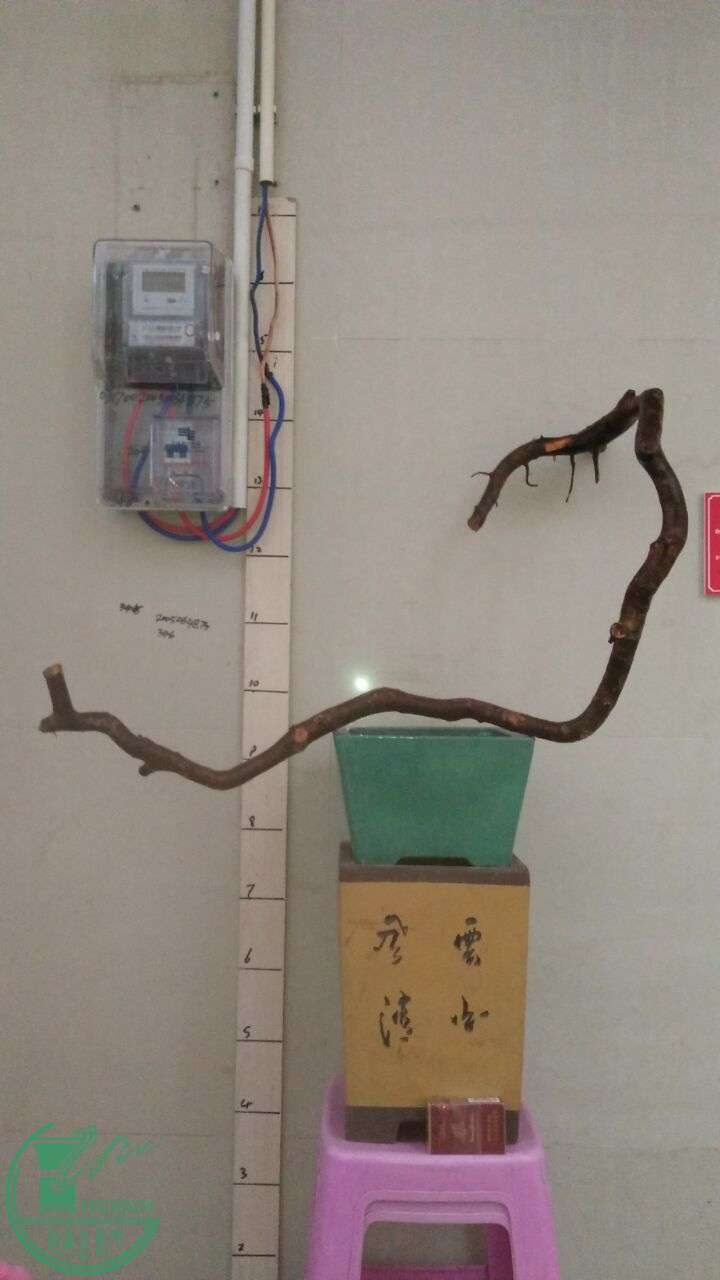 QQͼƬ20160316194801.jpg