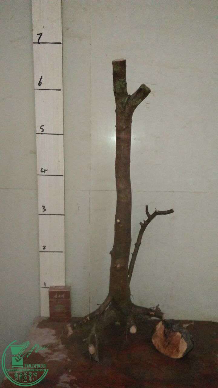 QQͼƬ20160316194721.jpg