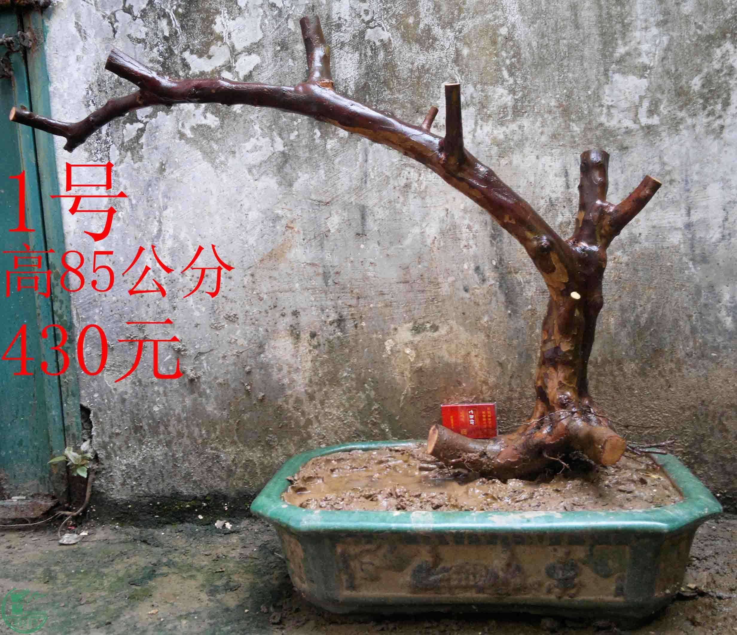 2016031612881.jpg