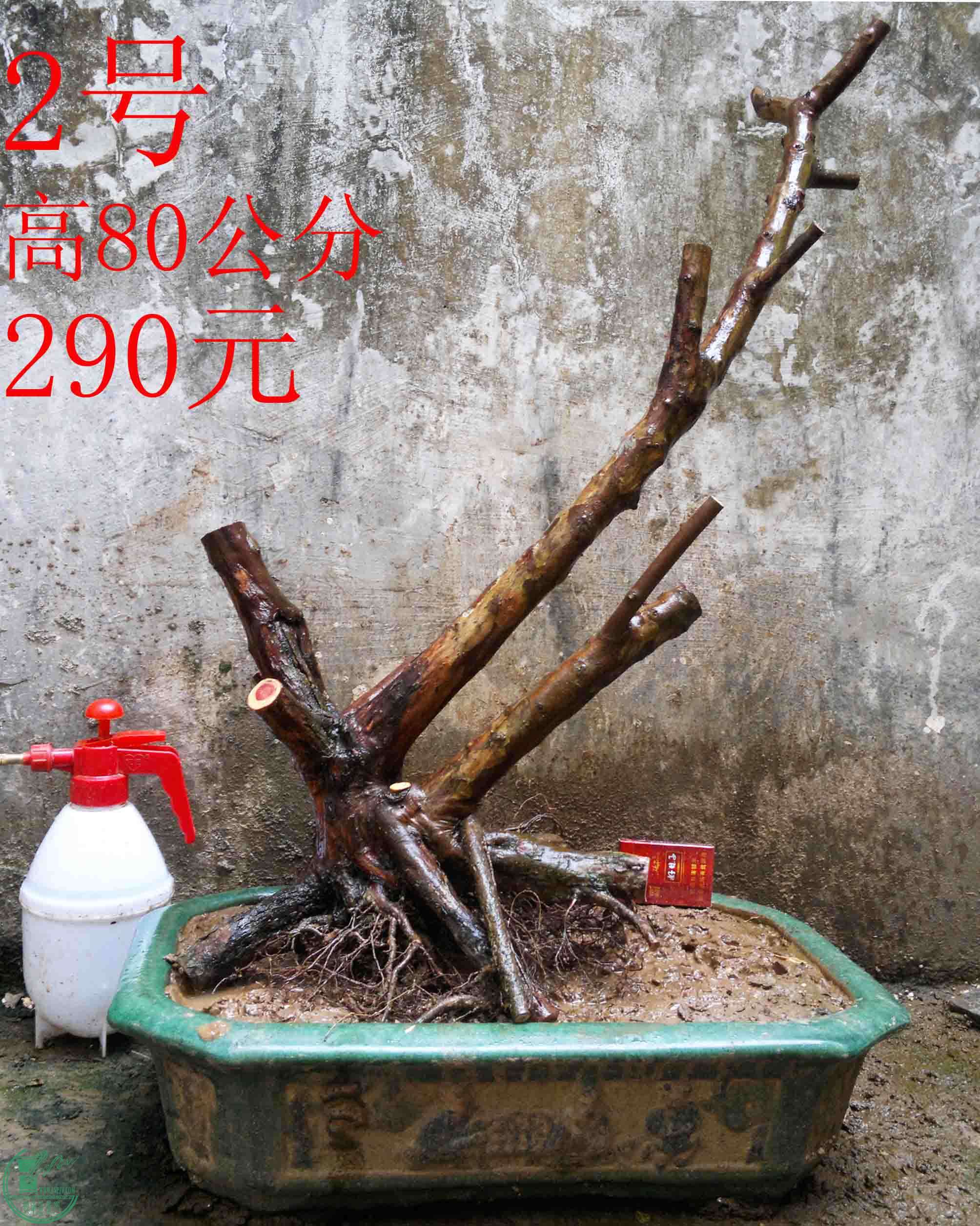 2016031612906.jpg