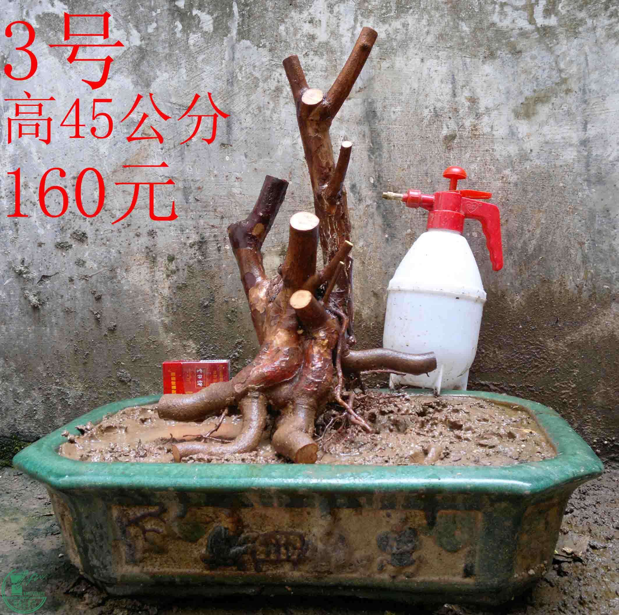 2016031612926.jpg