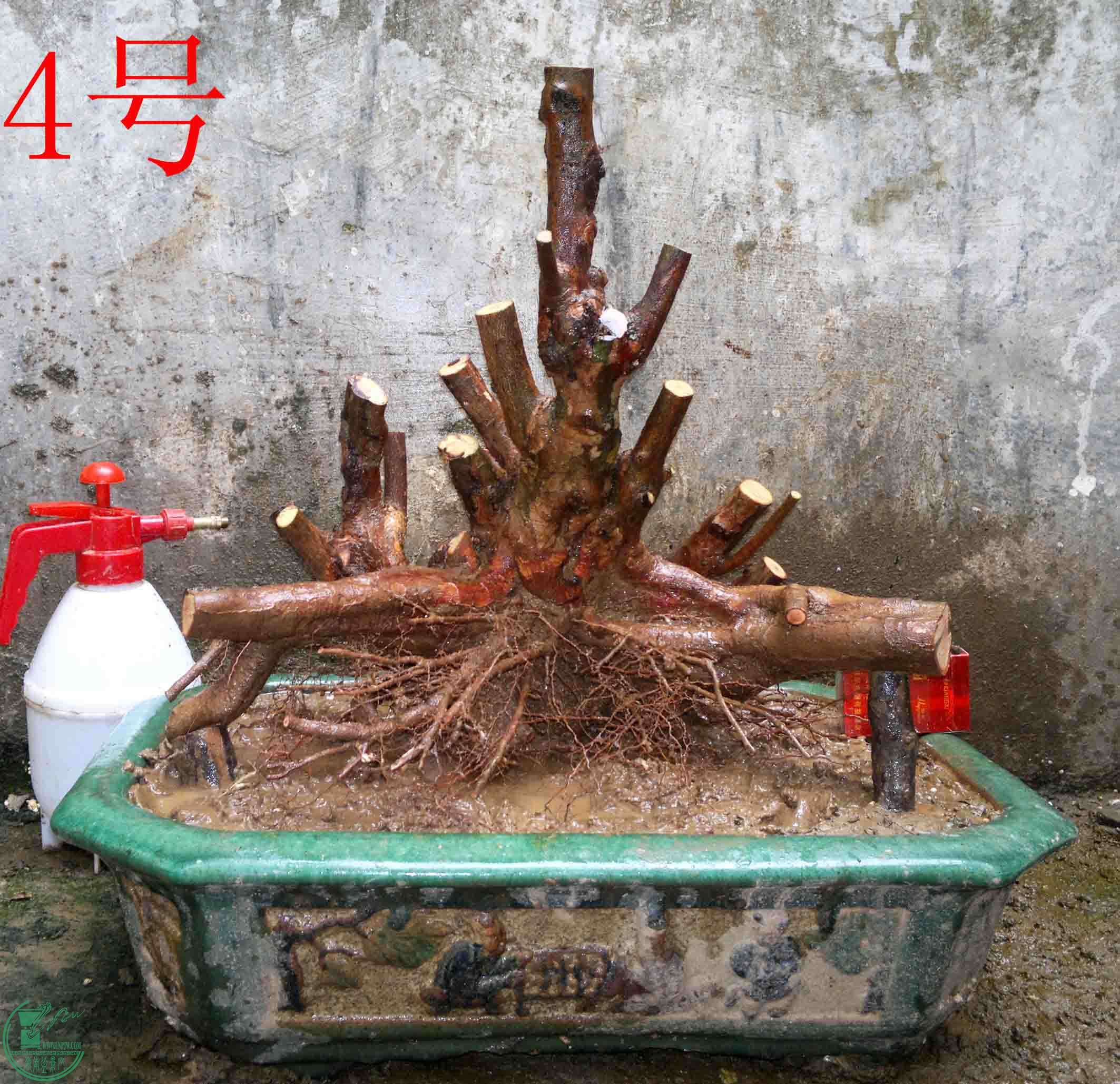 2016031612973.jpg