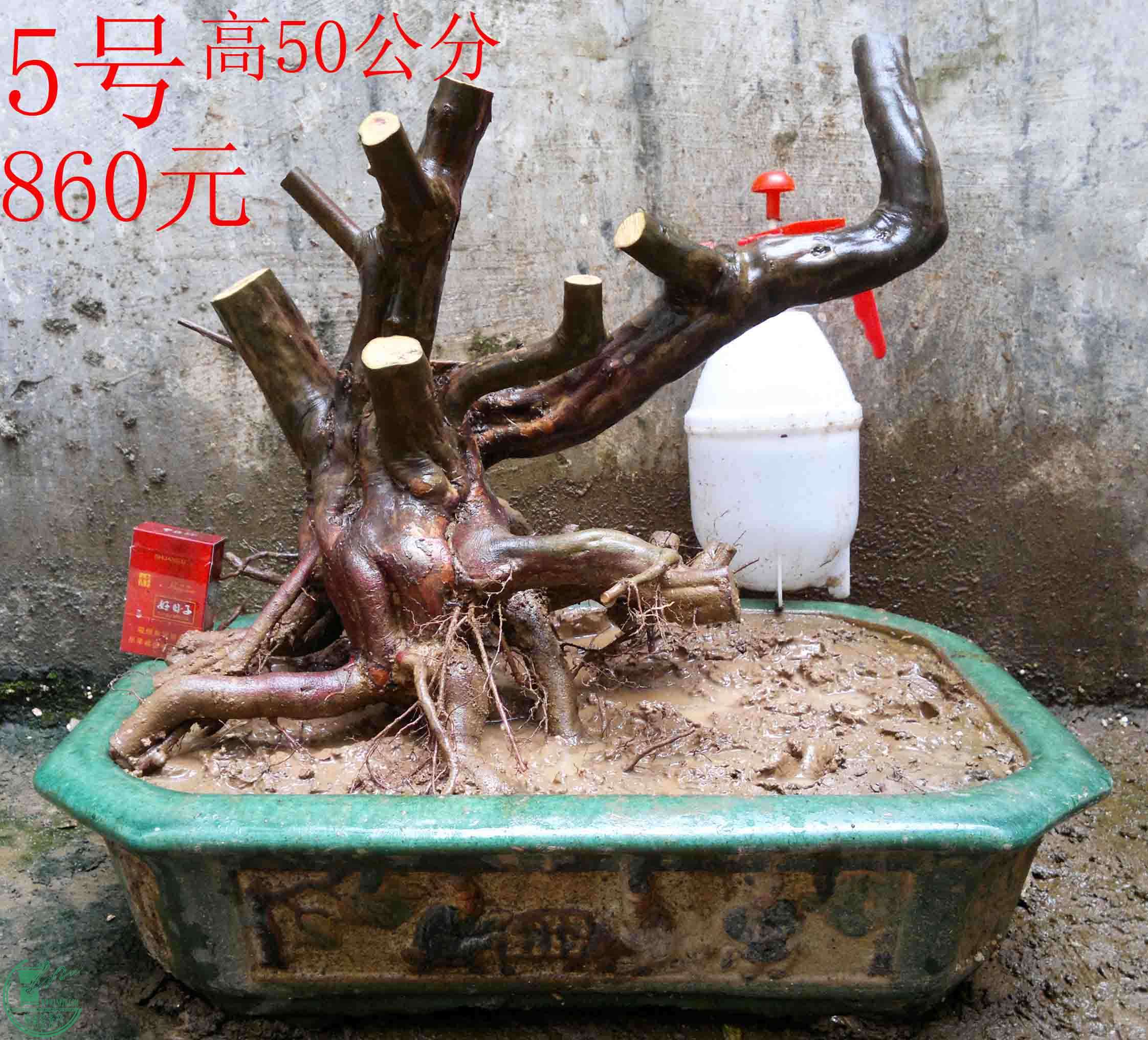 2016031612983.jpg