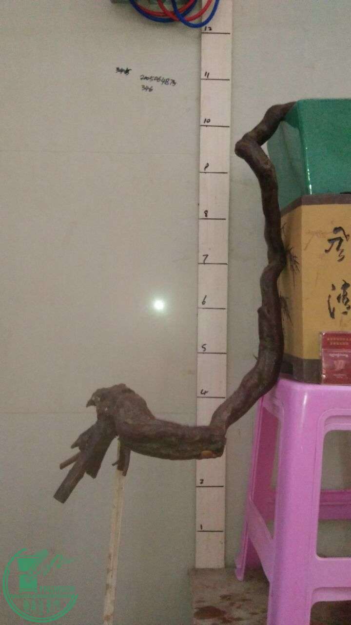 QQͼƬ20160316194731.jpg