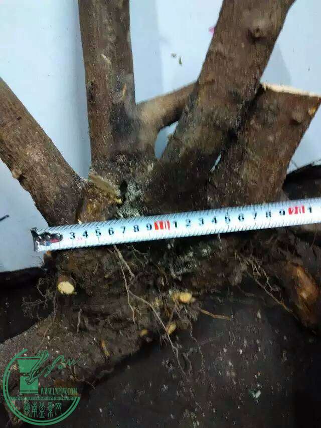 mmexport1458134996359.jpg