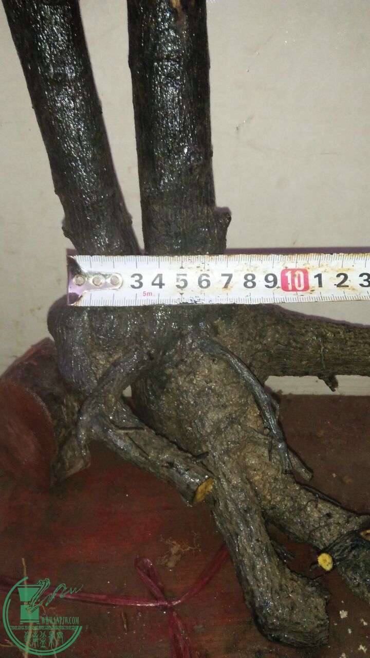 QQͼƬ20160317192224.jpg