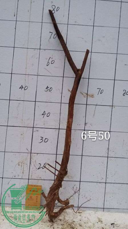 765215