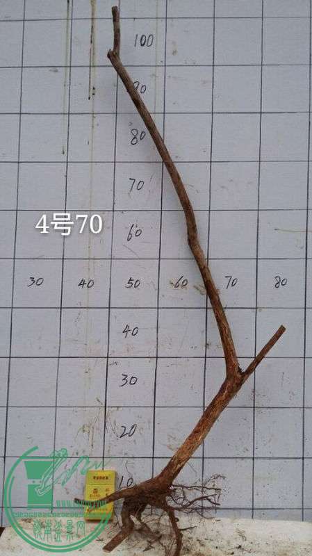 -503db214e3ad867c.jpg
