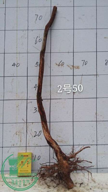-122c595ceab642b0.jpg